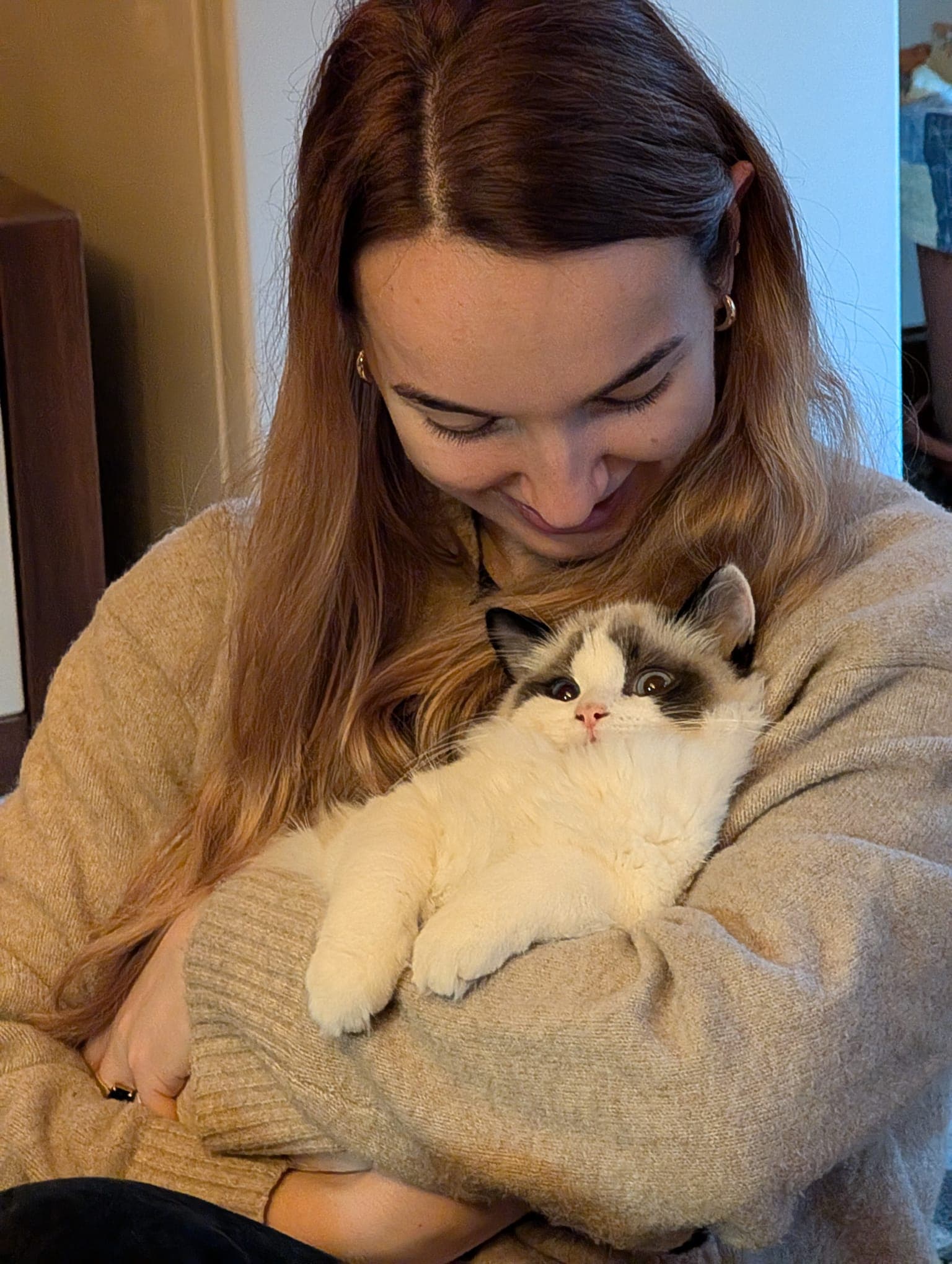 Serious cat business