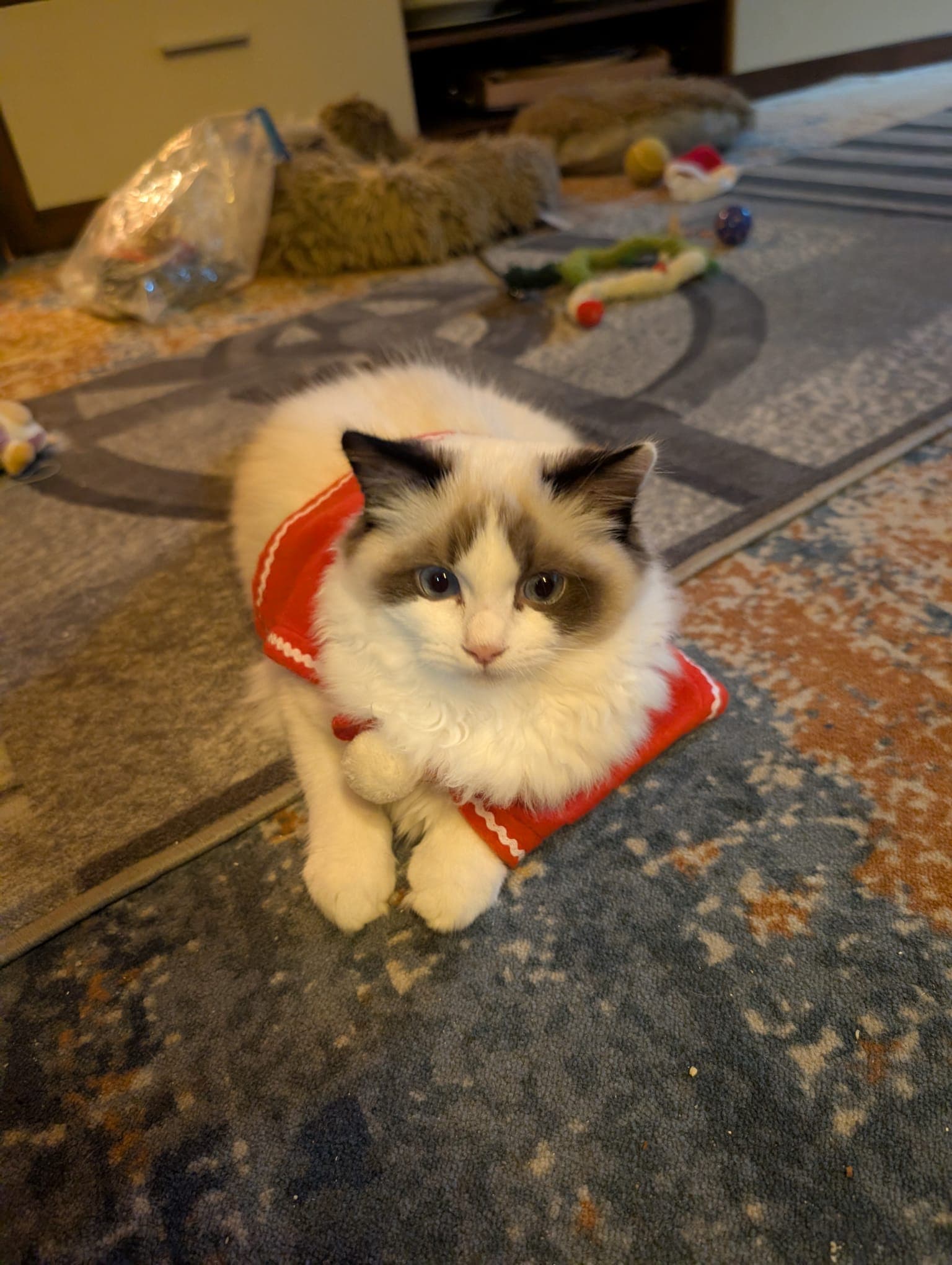 The reason we can't have nice things